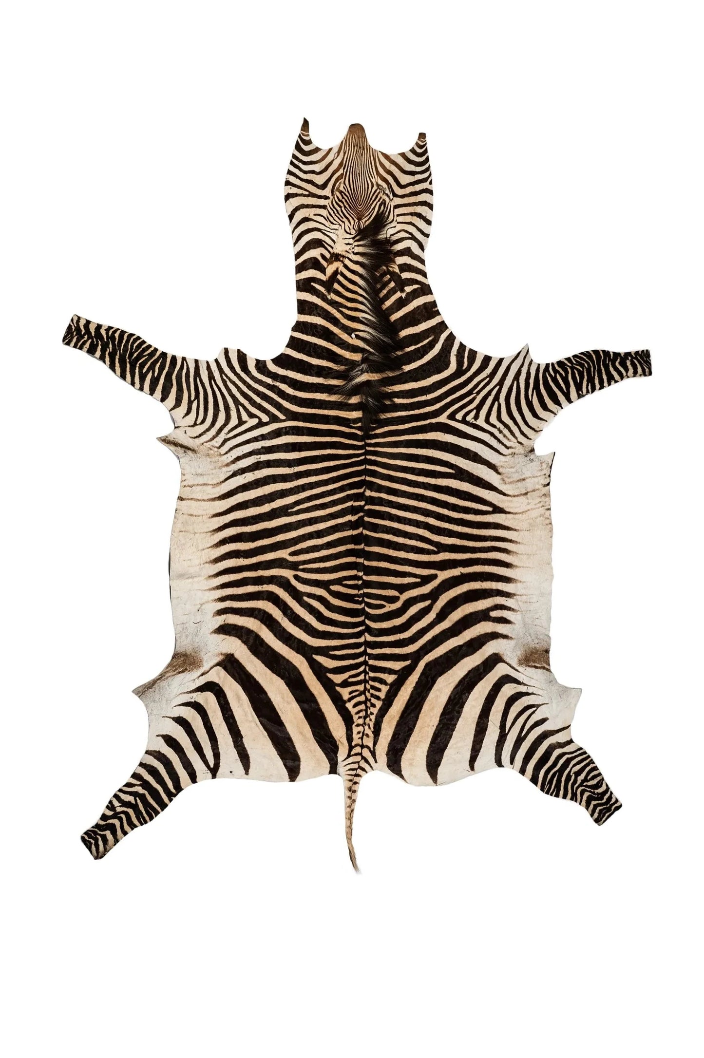 Hartmann Zebrafell